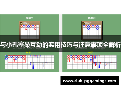 与小孔塞桑互动的实用技巧与注意事项全解析