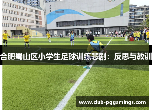 合肥蜀山区小学生足球训练悲剧：反思与教训