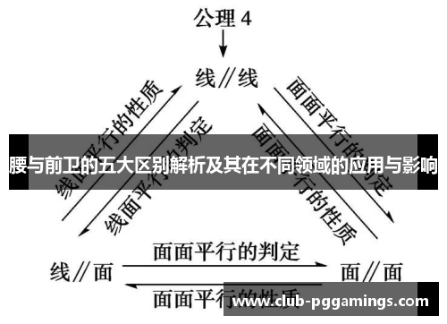 腰与前卫的五大区别解析及其在不同领域的应用与影响