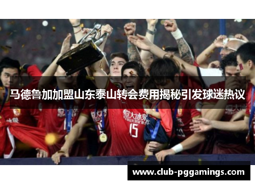 马德鲁加加盟山东泰山转会费用揭秘引发球迷热议