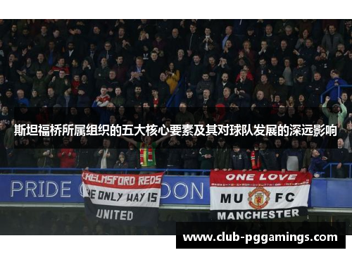 斯坦福桥所属组织的五大核心要素及其对球队发展的深远影响
