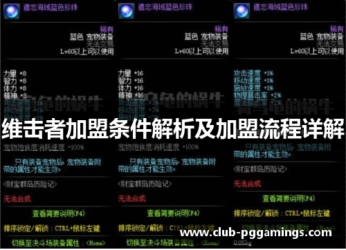 维击者加盟条件解析及加盟流程详解