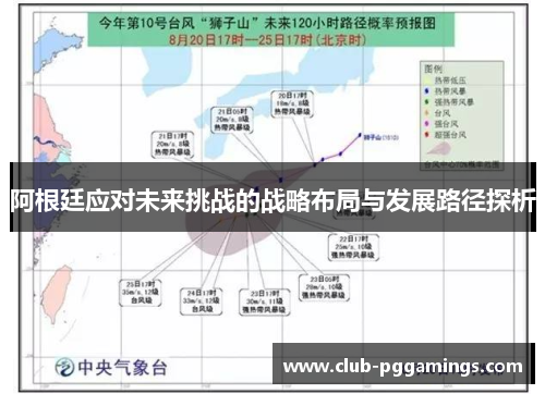 阿根廷应对未来挑战的战略布局与发展路径探析